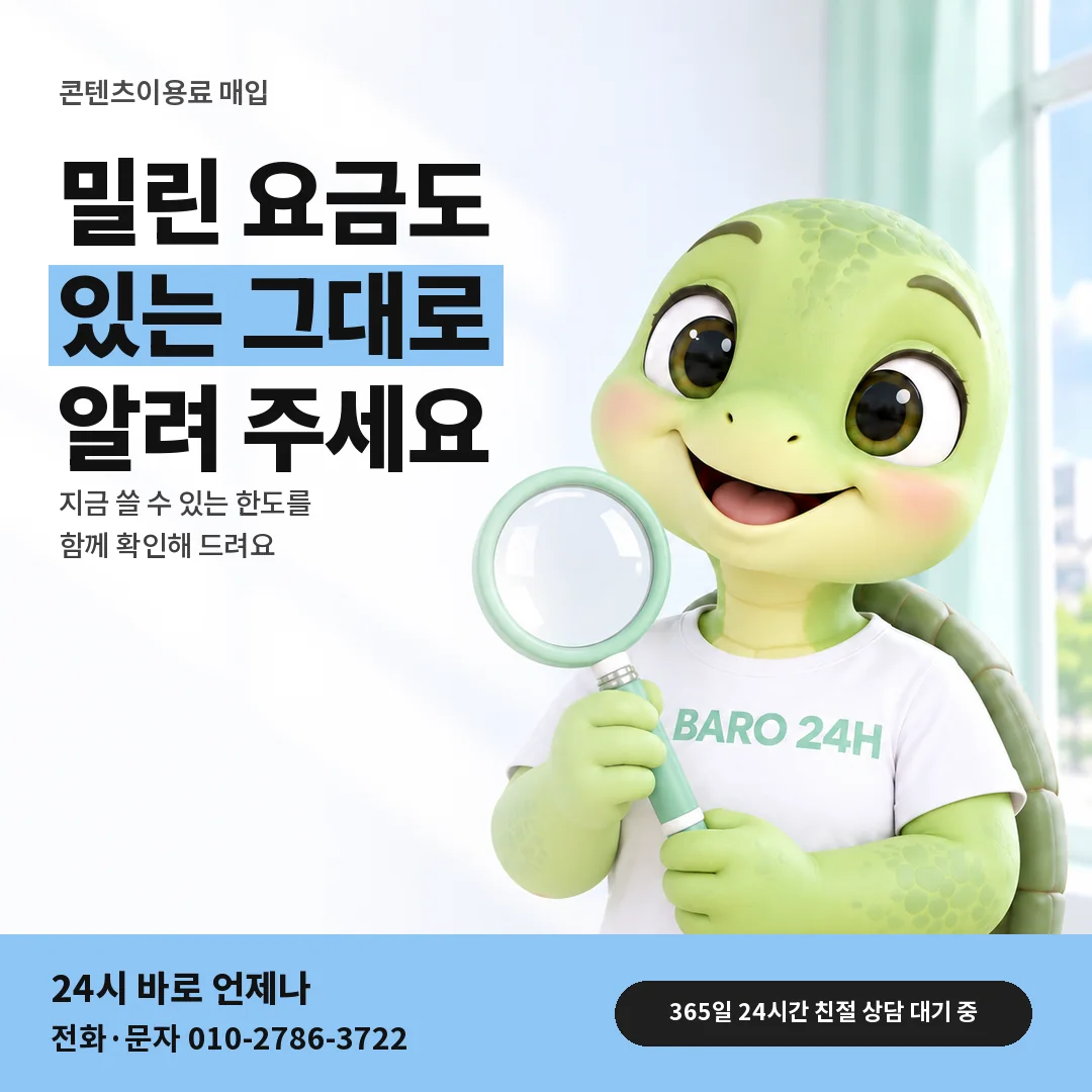 돋보기를 든 BARO 24H 티셔츠를 입은 3D 거북이 캐릭터 옆에 「요금 상태 알리는 법」 제목을 얹은 안내 카드